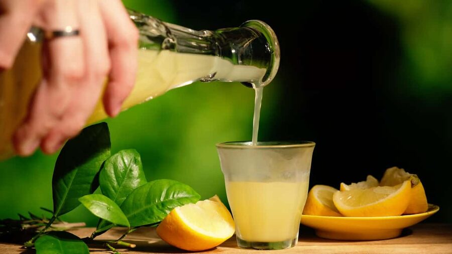 SORRENTO: Sunset Limoncello Making After-Dinner Experience - What the $55.80 price really covers