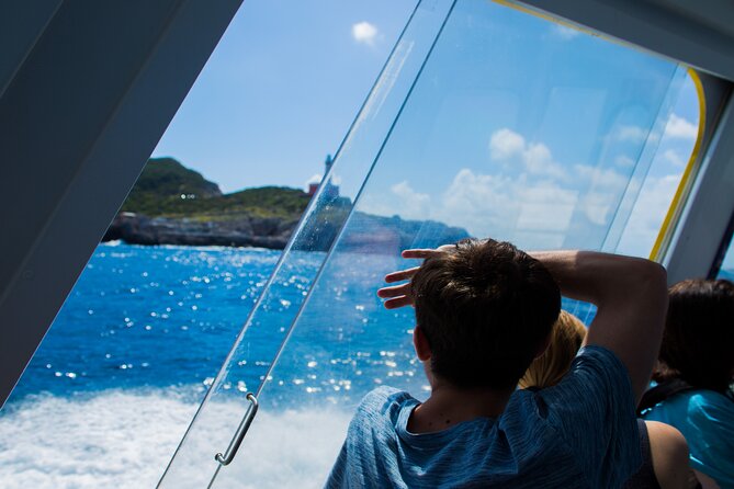 Sorrento to Capri and back: Minicruise Daily Return Ticket - How to avoid the ticket problems
