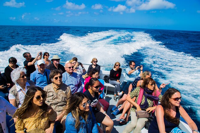 Sorrento to Capri and back: Minicruise Daily Return Ticket - The 30-minute ride along the Sorrento Coast