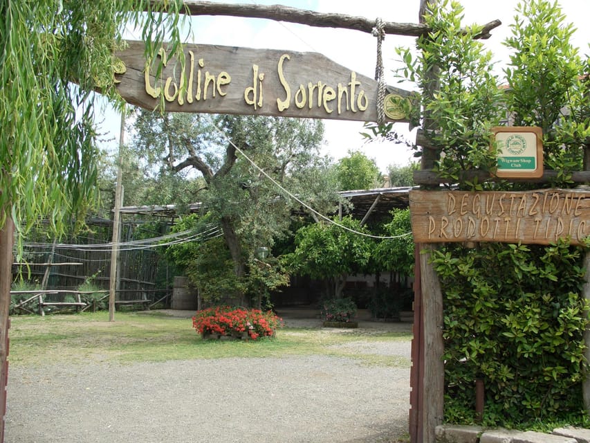 Sorrento: Walking Tour in Lemon Garden w/ Food Tasting - Practical Tips Before You Go