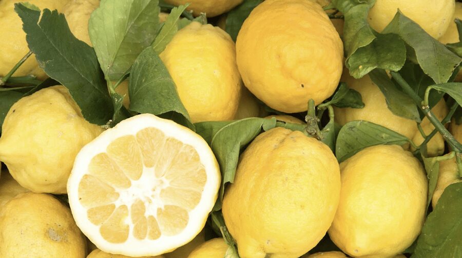Sorrento: Walking Tour in Lemon Garden w/ Food Tasting - Leaving Vallone dei Mulini for the Sorrento Hills