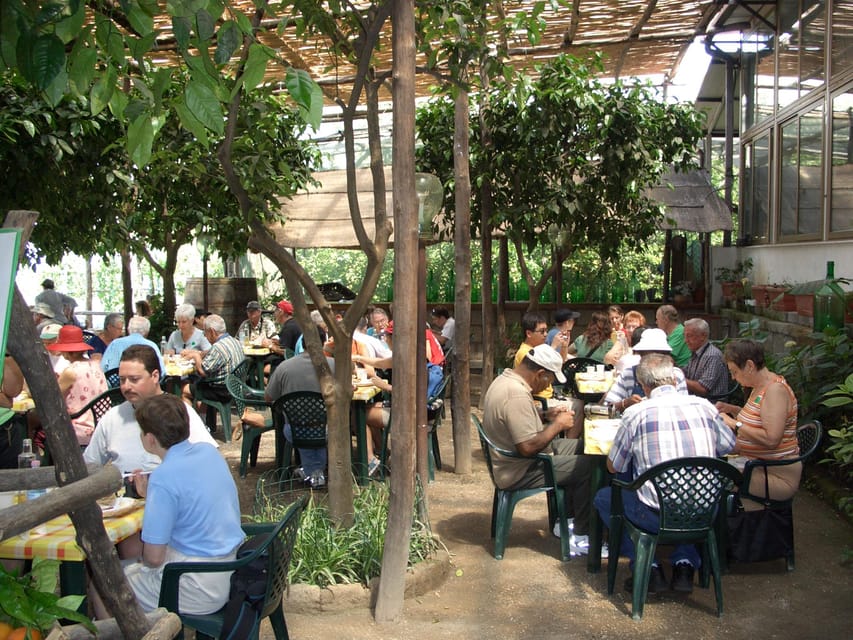Sorrento: Walking Tour in Lemon Garden w/ Food Tasting - Limoncello, Marmalades, and More Than Lemon