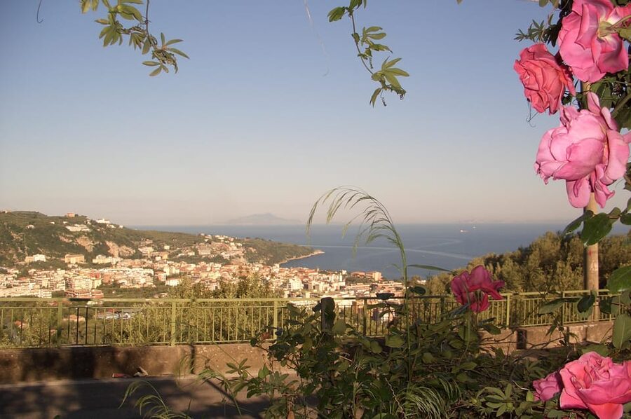 Sorrento: Walking Tour in Lemon Garden w/ Food Tasting - Who Will Enjoy This Sorrento Experience?