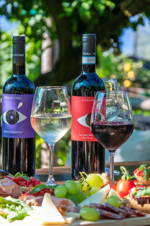 Sorrento: Wine Tasting Overlooking the Sea in a Lemon Grove - Booking details that matter