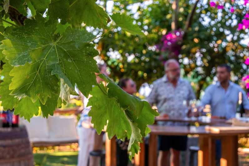 Sorrento: Wine Tasting Overlooking the Sea in a Lemon Grove - From Vallone dei Mulini to the Sorrento Hills