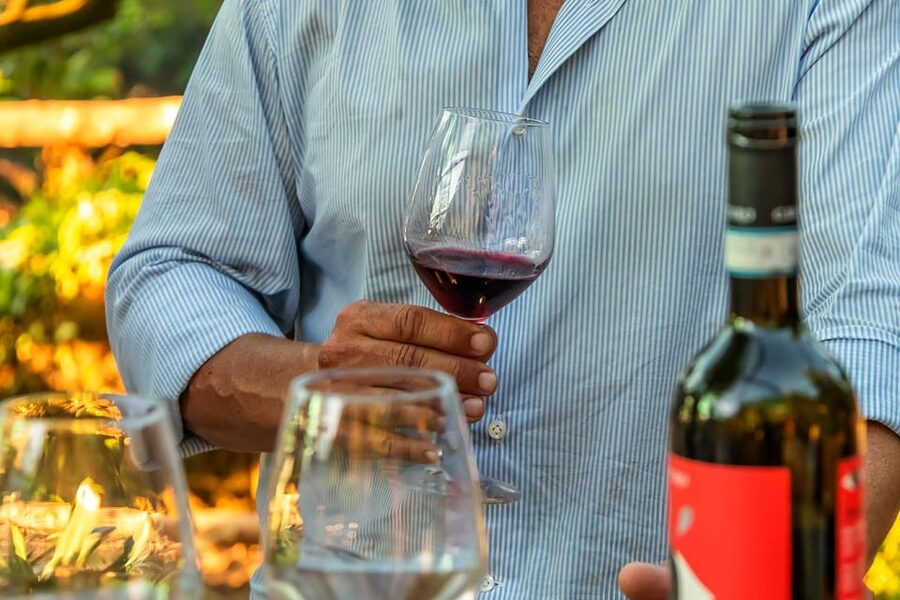 Sorrento: Wine Tasting Overlooking the Sea in a Lemon Grove - Local food pairings make the tasting more useful