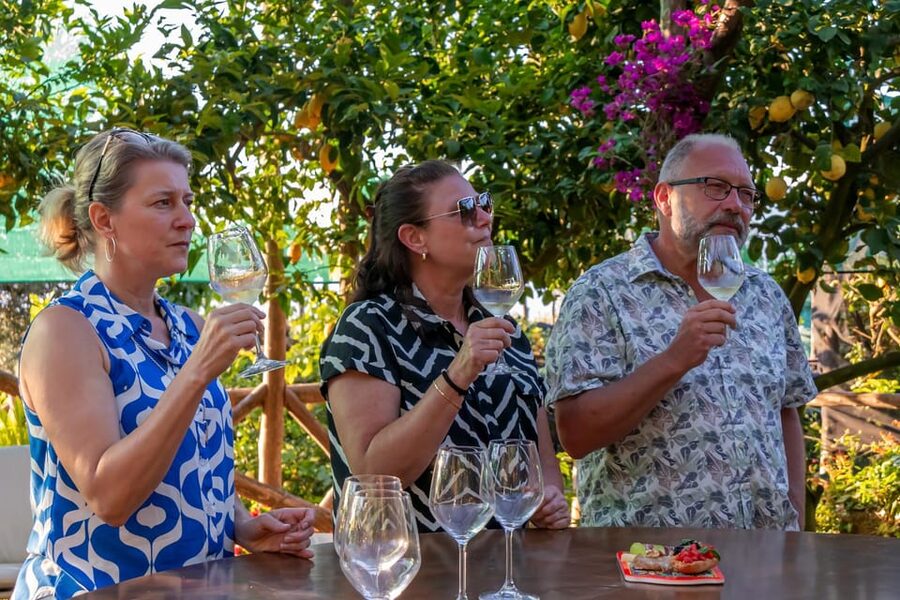 Sorrento: Wine Tasting Overlooking the Sea in a Lemon Grove - What the 1.5-hour schedule feels like