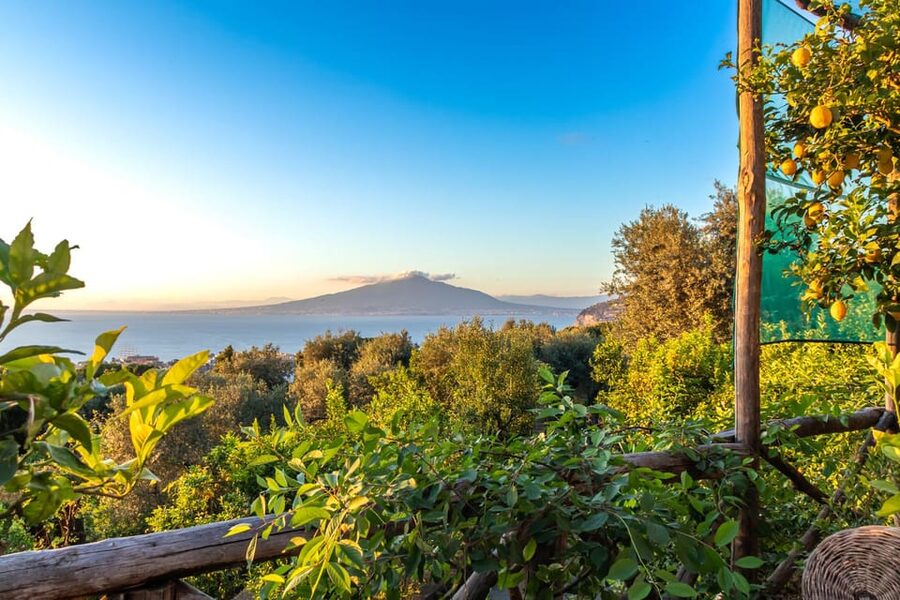 Sorrento: Wine Tasting Overlooking the Sea in a Lemon Grove - Is $112.15 a fair price?