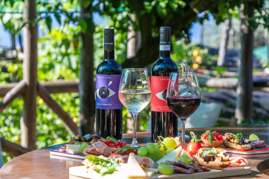 Sorrento: Wine Tasting Overlooking the Sea in a Lemon Grove - Who will enjoy this Sorrento wine tasting?