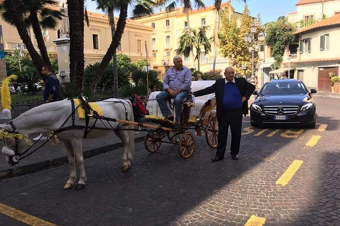 Splendida giornata con noi in costiera Amalfitana e dintorni - Booking advice for a smoother two days