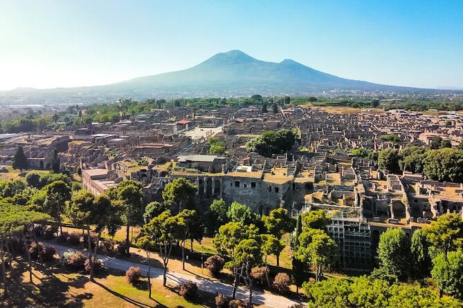 Stories of Pompeii: Small Group tour with archeology expert guide - What is not included