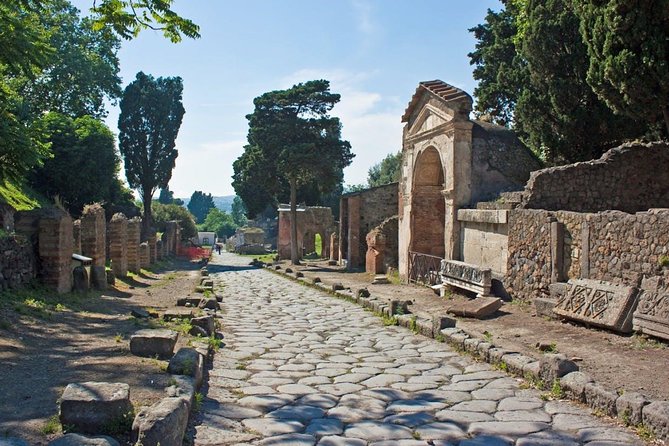 Stories of Pompeii: Small Group tour with archeology expert guide - Walking the Archaeological Park of Pompeii