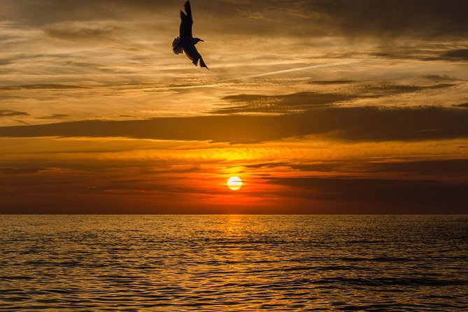 Sunset Boat Tour from Sorrento to Capri - The swim and snorkeling stop