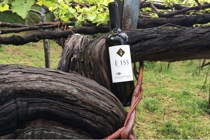 Tenuta San Francesco Wine Tasting - Key points about Tenuta San Francesco