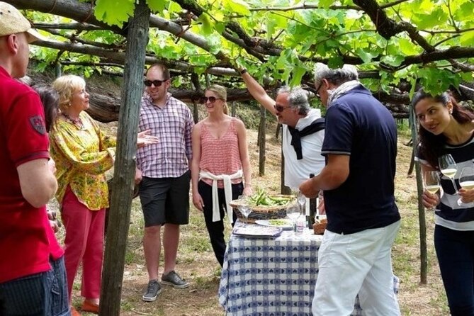 Tenuta San Francesco Wine Tasting - Three Amalfi Coast DOC wines at the table