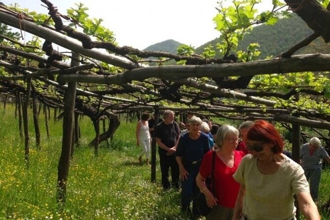 Tenuta San Francesco Wine Tasting - The 11:30 a.m. start at Via Fieccia