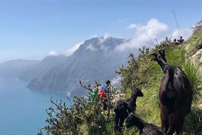The Path of The Gods Private Guided Hike with Transfer - Starting in Bomerano with coffee and a practical welcome