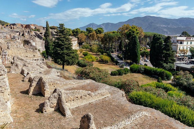 The Ultimate Ruins of Pompeii and Herculaneum Private Day Trip - The 30-minute train to Herculaneum