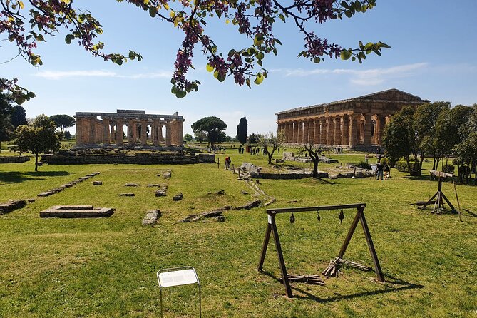 Tour at the Temples and the National Museum of Paestum - Timing, meeting point, and practical planning