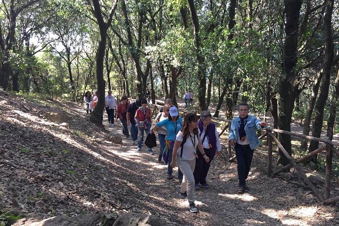 Tour in the ruins of Cuma with an archaeologist. - Who will enjoy this Cuma tour most