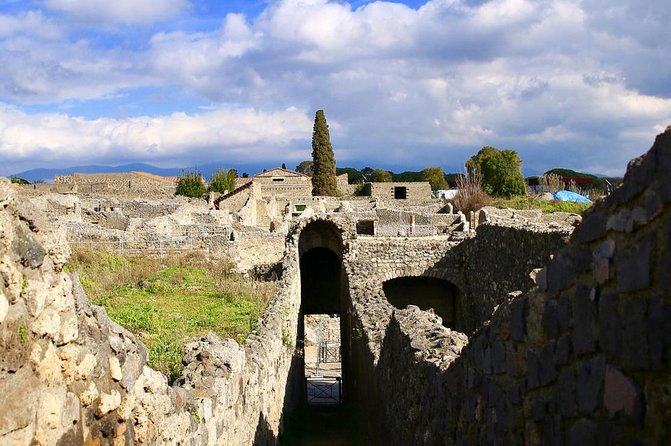 Tour of Pompeii for families with Transfer from Naples & Sorrento - Two hours, or closer to three?