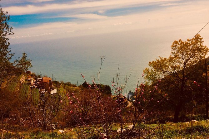 Trail of the gods with local guide Saveria Fiore "Ladybug" - Flora, fauna, and the old ways of the coast