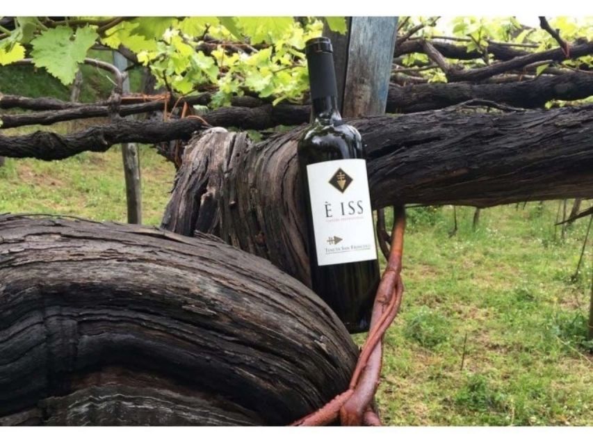 Tramonti: Tenuta San Francesco Wine Tasting - Why Tramonti wine feels different from a standard tasting