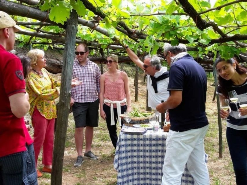 Tramonti: Tenuta San Francesco Wine Tasting - Who will enjoy this visit most?
