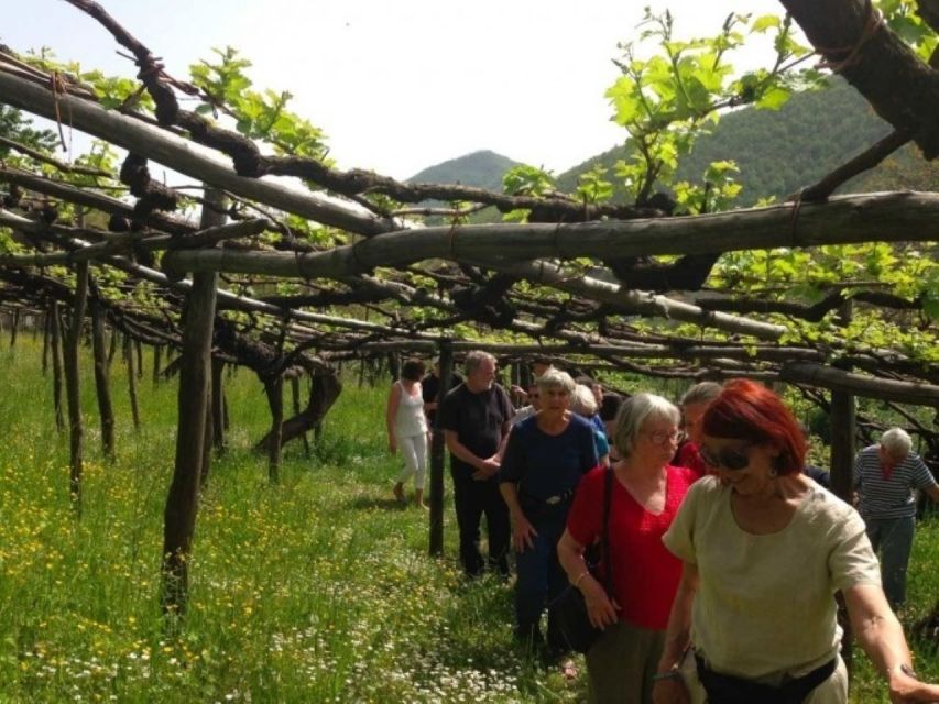 Tramonti: Tenuta San Francesco Wine Tasting - The Di Palma estate and its older buildings
