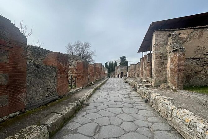 Tramvia Napoli Daily Trip to Pompeii Ruins - What this Pompeii trip actually gives you