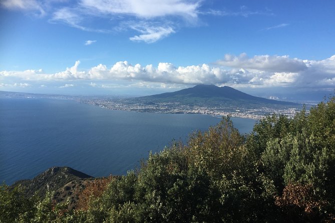 Transfer from Sorrento to Naples - Is $164.13 a good value?