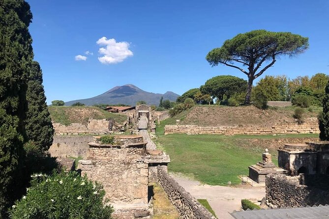 Transfer Naples airport/station to Sorrento with stop in Pompeii - Meeting your driver at Naples airport or station