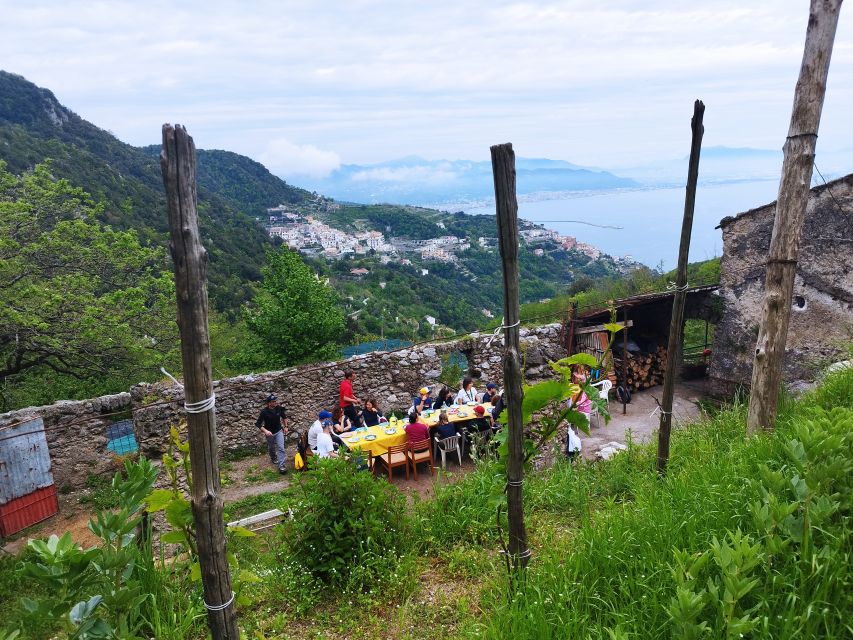 Trekking Lemon Tour - Key points to know before you book