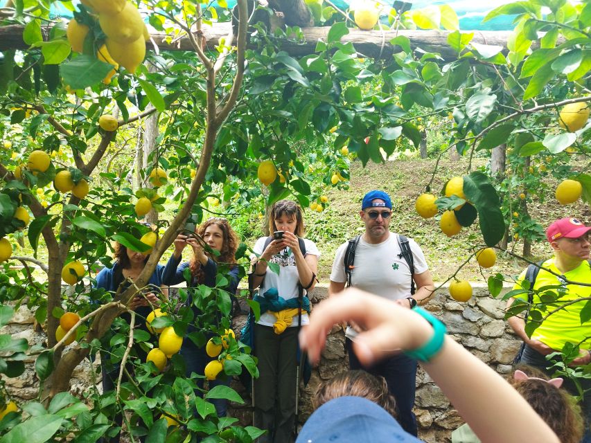 Trekking Lemon Tour - From Vietri sul Mare to the first hillside views