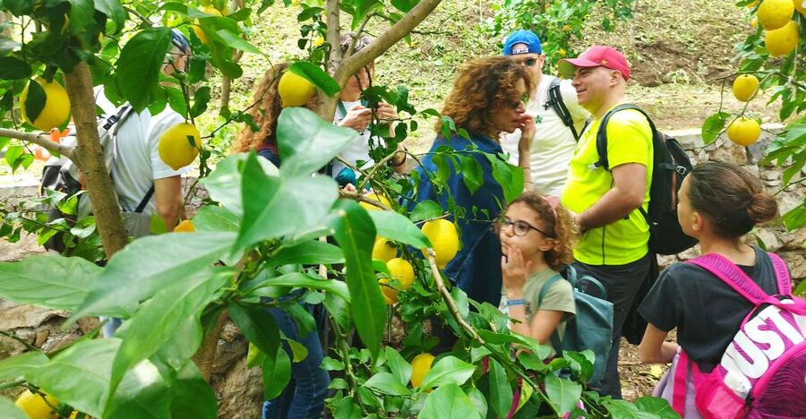 Trekking Lemon Tour - Albori, ceramics, and the charm of a small village
