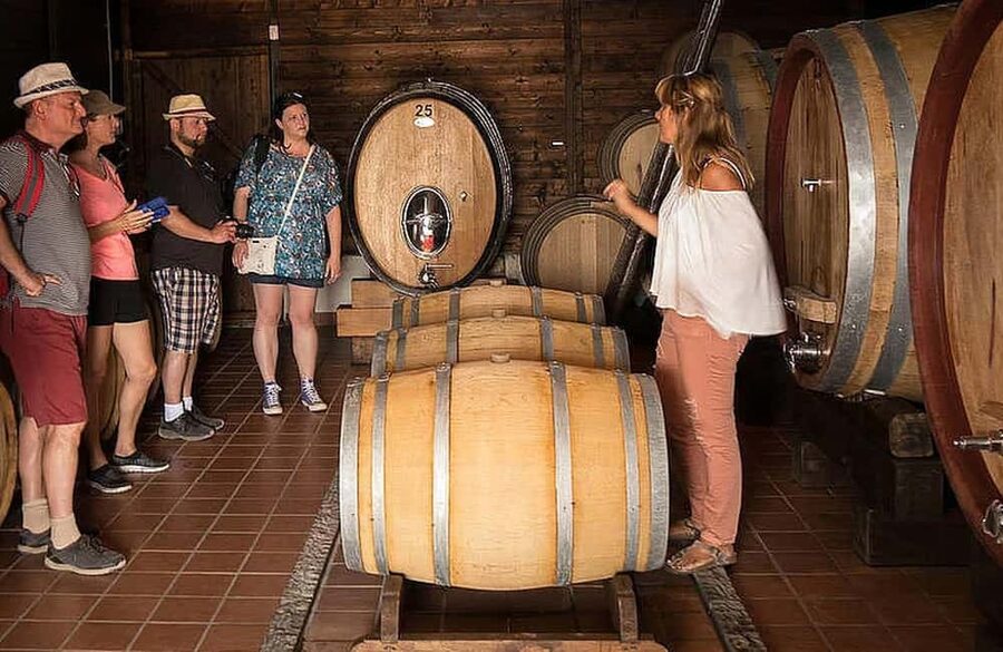 Vesuvio National Park: Wine Tasting & Tour with Light Lunch - FAQ