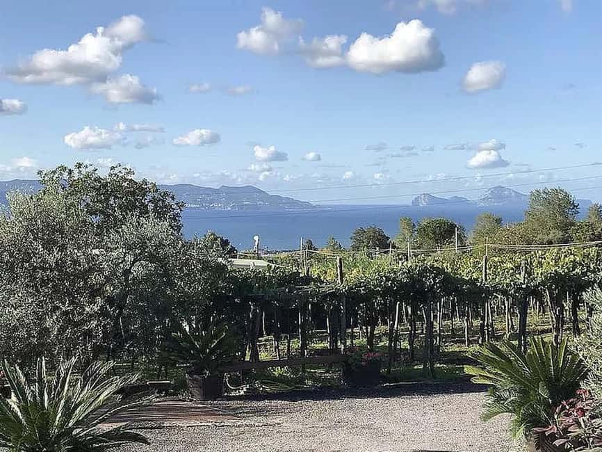 Vesuvio National Park: Wine Tasting & Tour with Light Lunch - Entering the barrel room and tasting amphora wines