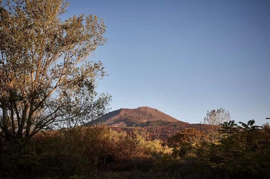 Vesuvio National Park: Wine Tasting & Tour with Light Lunch - Who will get the most from this $105 experience