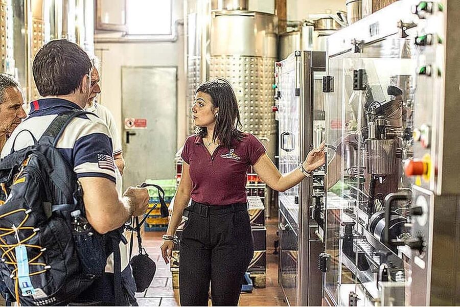 Vesuvio National Park: Wine Tasting & Tour with Light Lunch - Timing, language, and booking practicalities