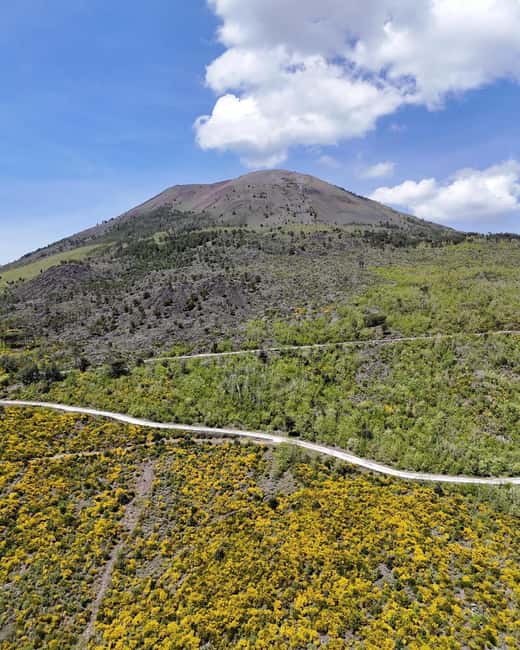 Vesuvius bike and walk - The ride back down to Vesuvio Drive