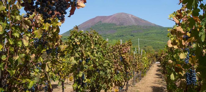 Vesuvius & Vineyard select from Sorrento - Getting from Sorrento to Vesuvius
