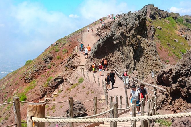 Vesuvius & Vineyard select from Sorrento - Should you book Vesuvius and Vineyard?