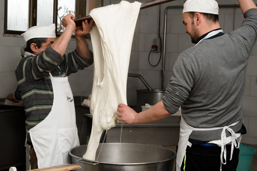 Vico Equense: Tour in the dairy "Mozzarella Experience" - Key points at a glance