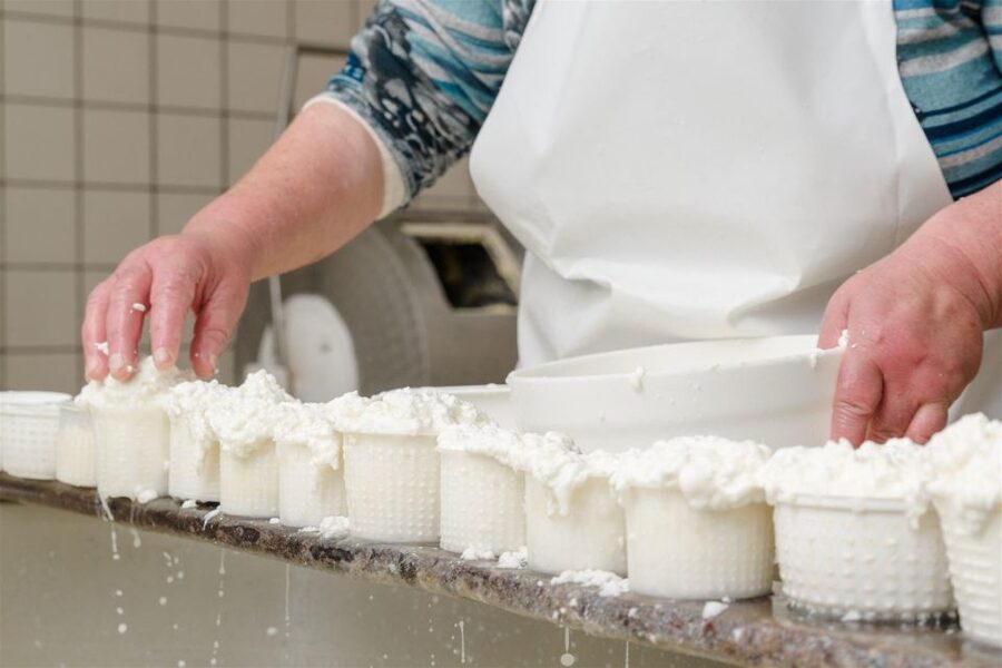 Vico Equense: Tour in the dairy "Mozzarella Experience" - Learning the cheeses of the Lattari Mountains