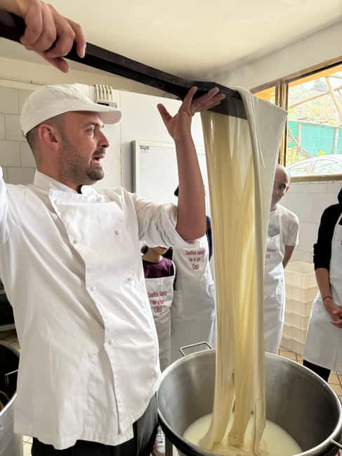 Vico Equense: Tour in the dairy "Mozzarella Experience" - A tasting beneath Sorrento lemon trees