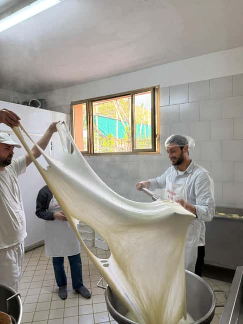 Vico Equense: Tour in the dairy "Mozzarella Experience" - Getting there from Vico Equense