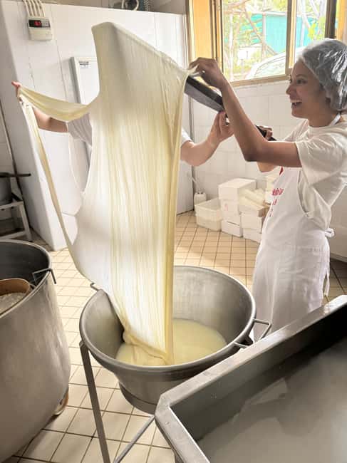 Vico Equense: Tour in the dairy "Mozzarella Experience" - Is the $80 price fair?