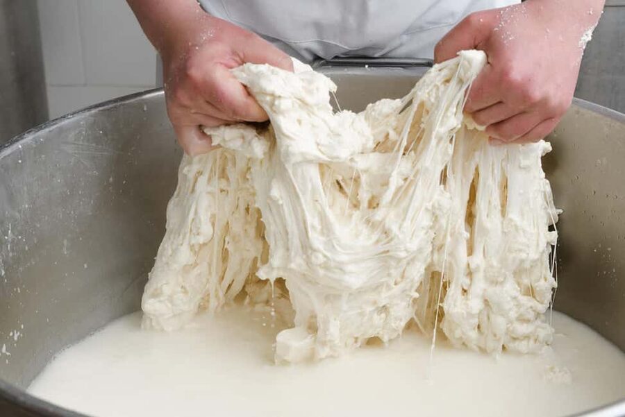 Vico Equense: Tour in the dairy "Mozzarella Experience" - Who should book this experience?