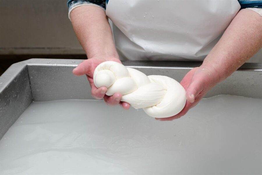 Vico Equense: Tour in the dairy "Mozzarella Experience" - Timing, language, and cancellation