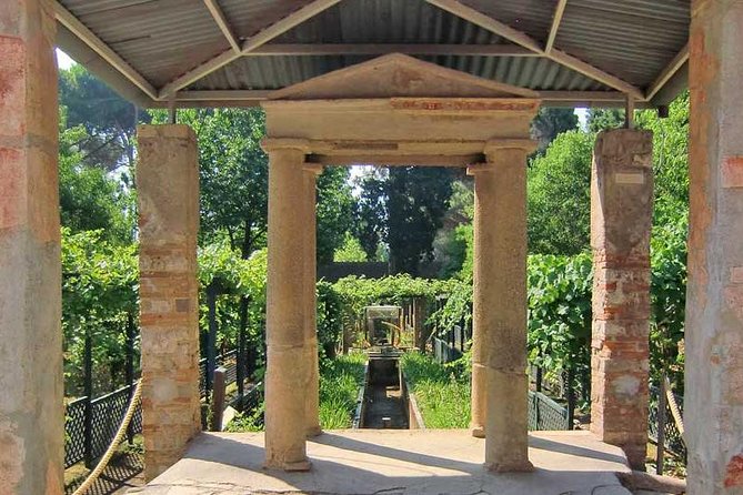 VIP Pompeii Tour including Newly Opened Houses With Archaeologist - The Stabian Baths and everyday Roman life